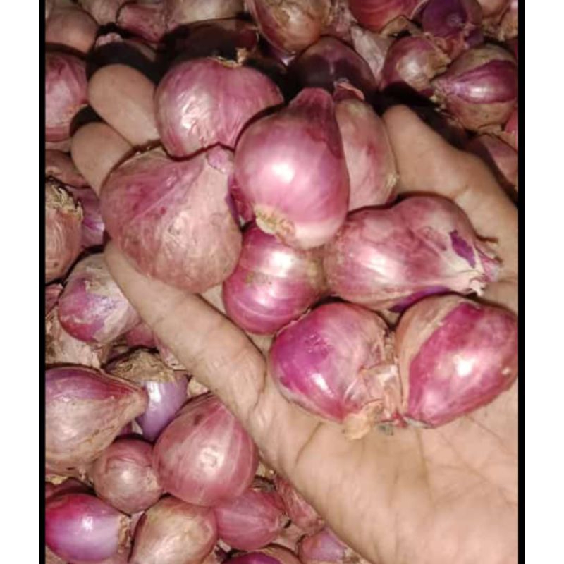 

Bawang Merah superan 1/4kg atau 250gr