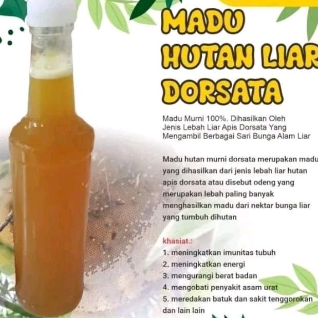

Madu Hutan Asli 100% ORIGINAL TERBAIK | Madu Lebah Hutan | Bukan Budidaya | Madu Dorsata | Madu Multifora
