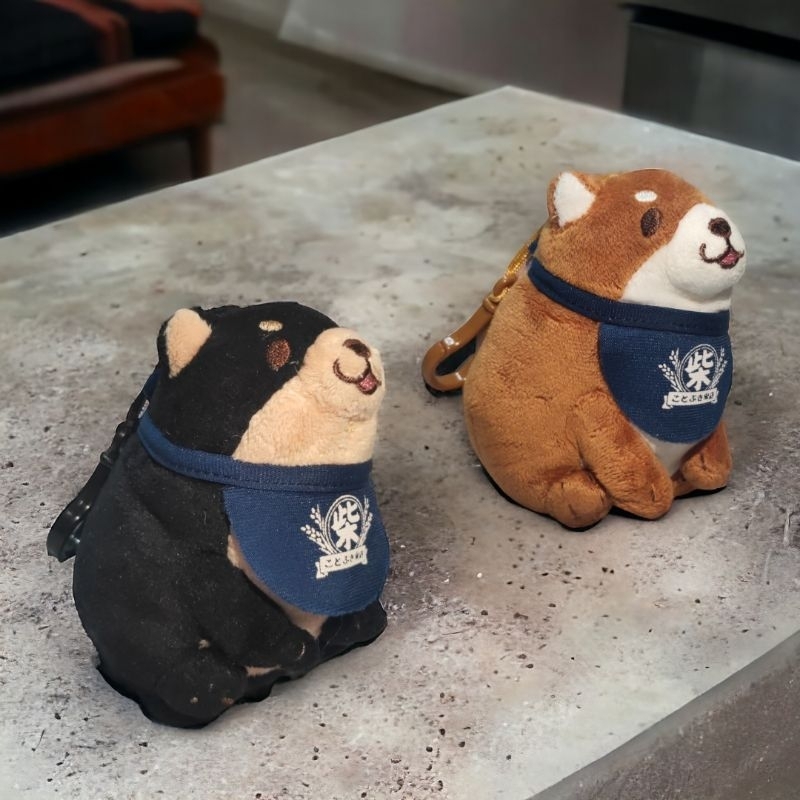 Shiba Sk Japan (posisi duduk)