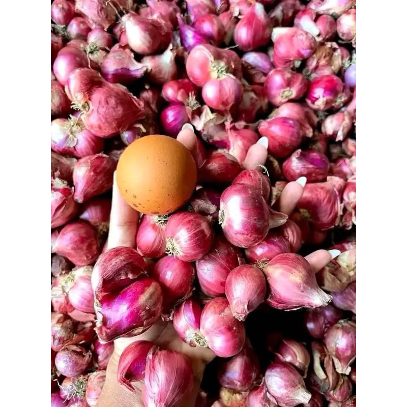 

Bawang Merah Super 1kg