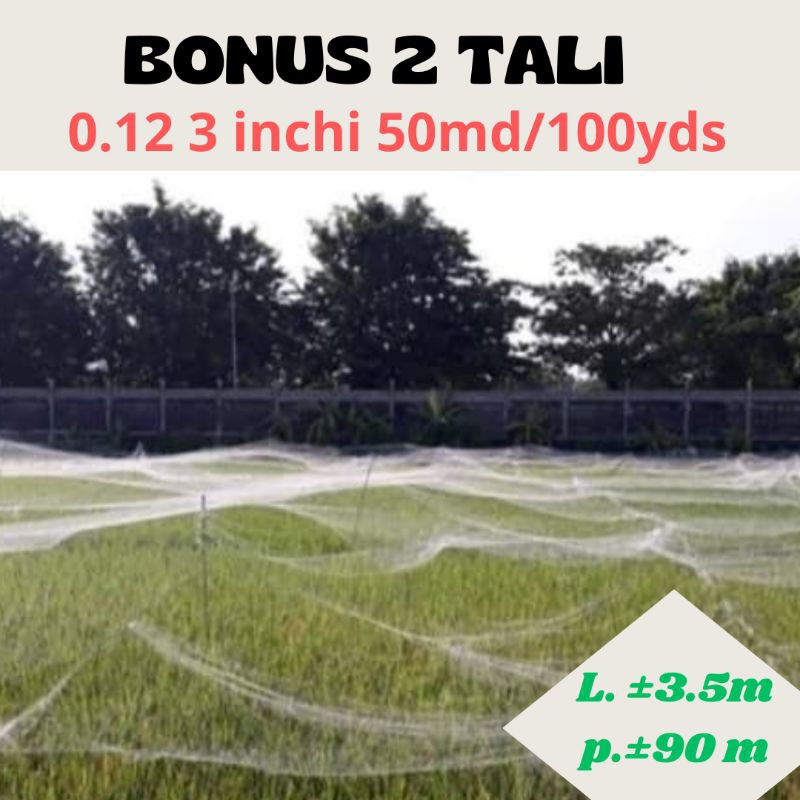JARING SAWAH 3INCHI 0.12 50/100 PANJANG ±90 METER LEBAR ±3.5 METER JARING BURUNG SAWAH MURAH