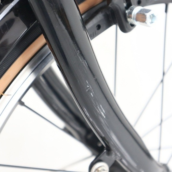 Pro Action Parrot 3S 16 Inci Sepeda Lipat