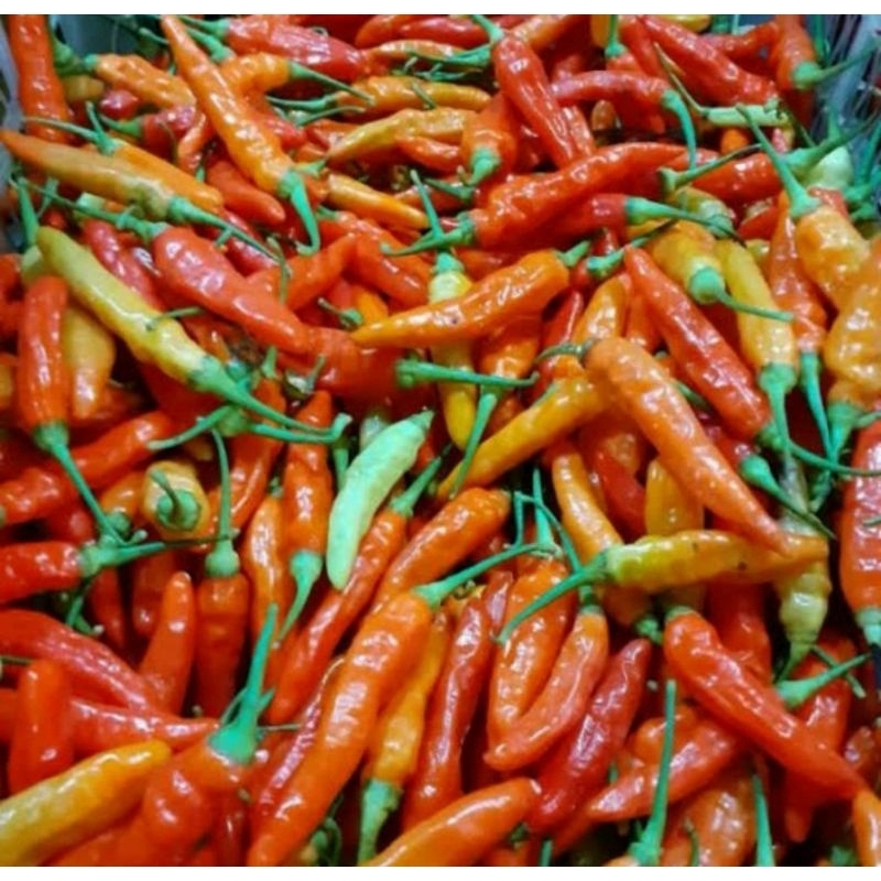 

cengek fresh/cabai rawit merah/cabe dadakan bandung/cabe merah hijau