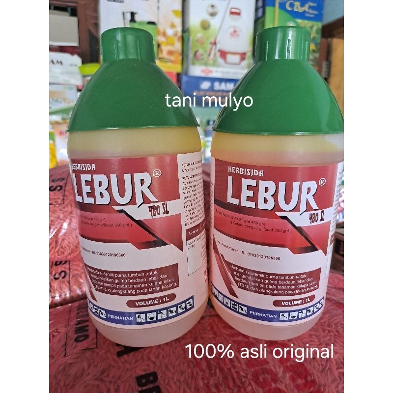 lebur 480 sl,obat rumput sistemik mati sampai akarnya