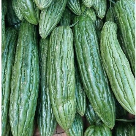 

Sayur Pare 500gr