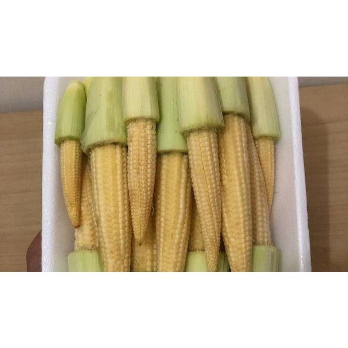 

Jagung baby fresh per pack 500 gram