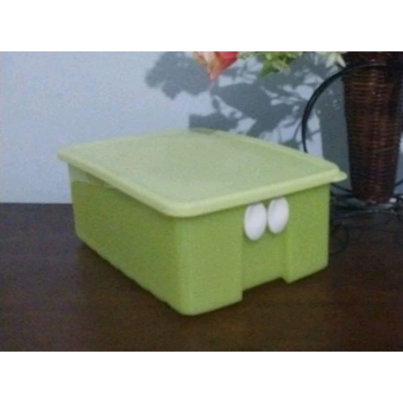 Fridgesmart Medium Tupperware Ready warna Green