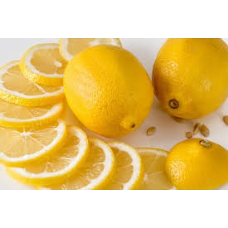 

jeruk lemon (tersedia paketan)