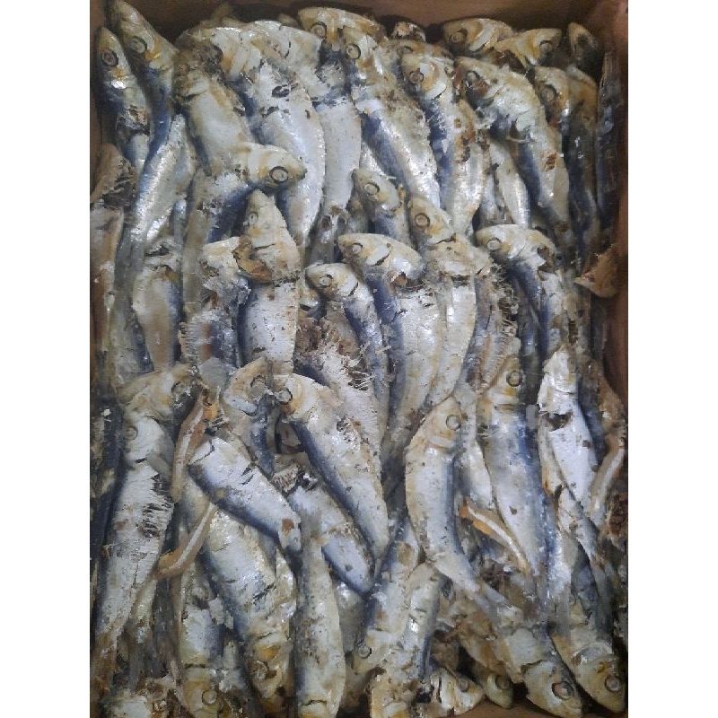 

Ikan Asin Tanjan super Terlaris 1kg