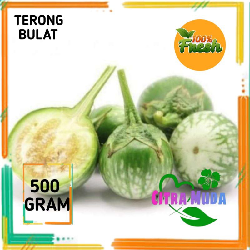 

Terong Bulat segar 500 gram