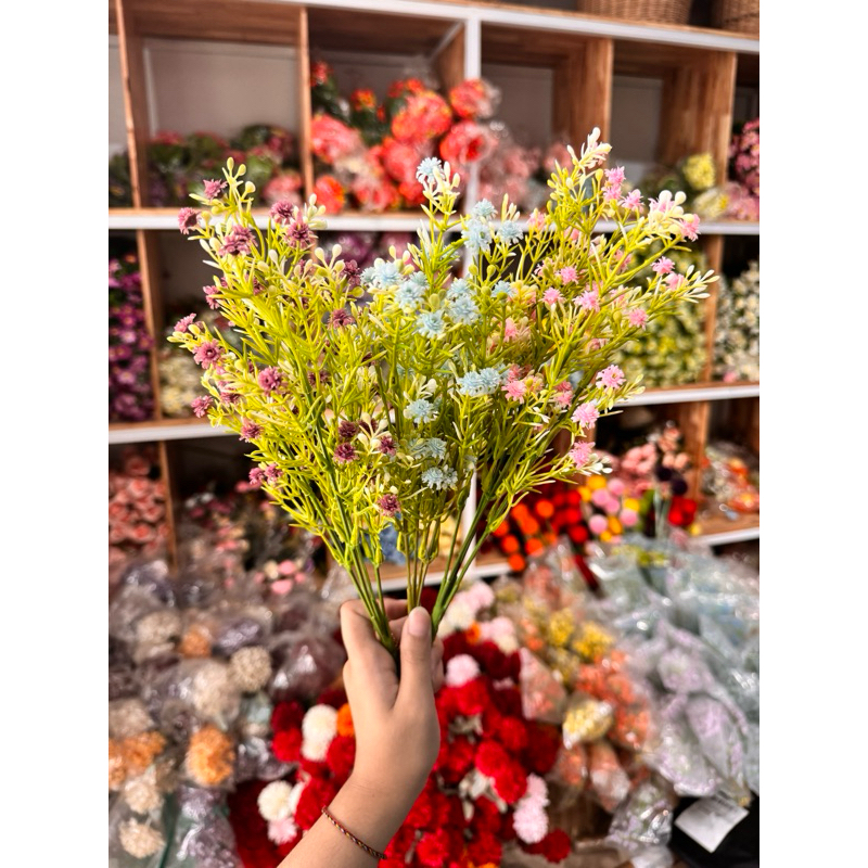 BABY BREATH DAUN mekar bercabang