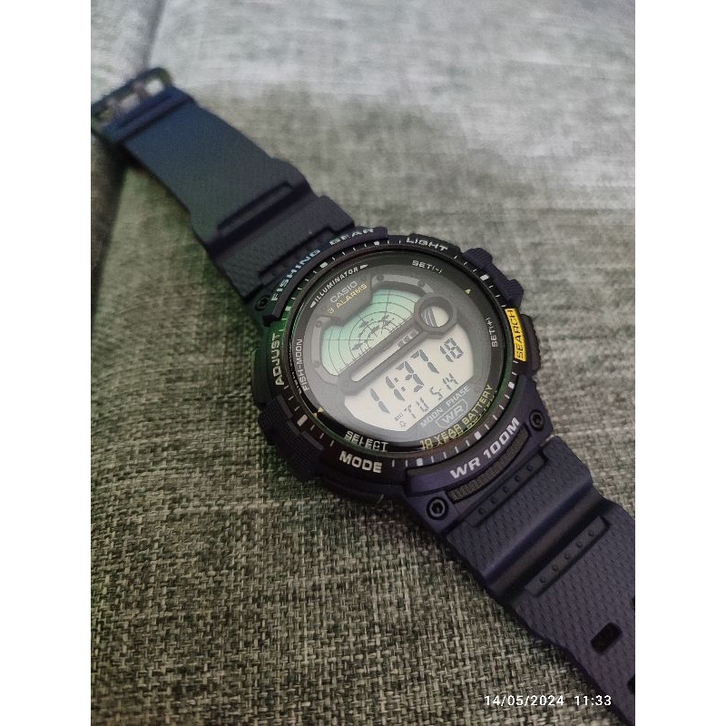 Casio WS-1200H-2AVDF