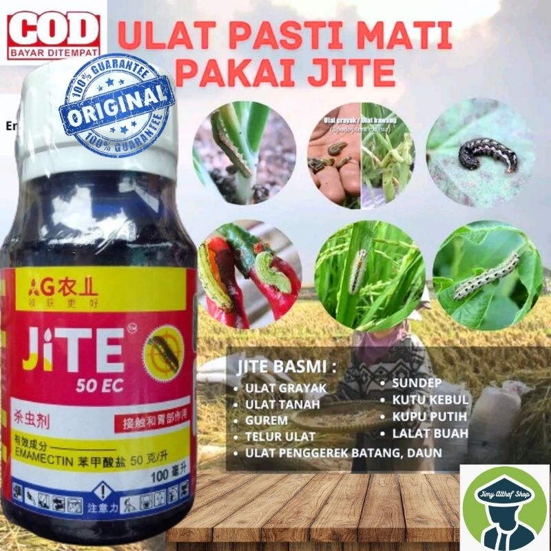JITE INSEKTISIDA  PALING  AMPUH BELI 10 BOTOL GRATIS 1 TOPI SEFTY 2 INSEKTISIDA  IMPORT