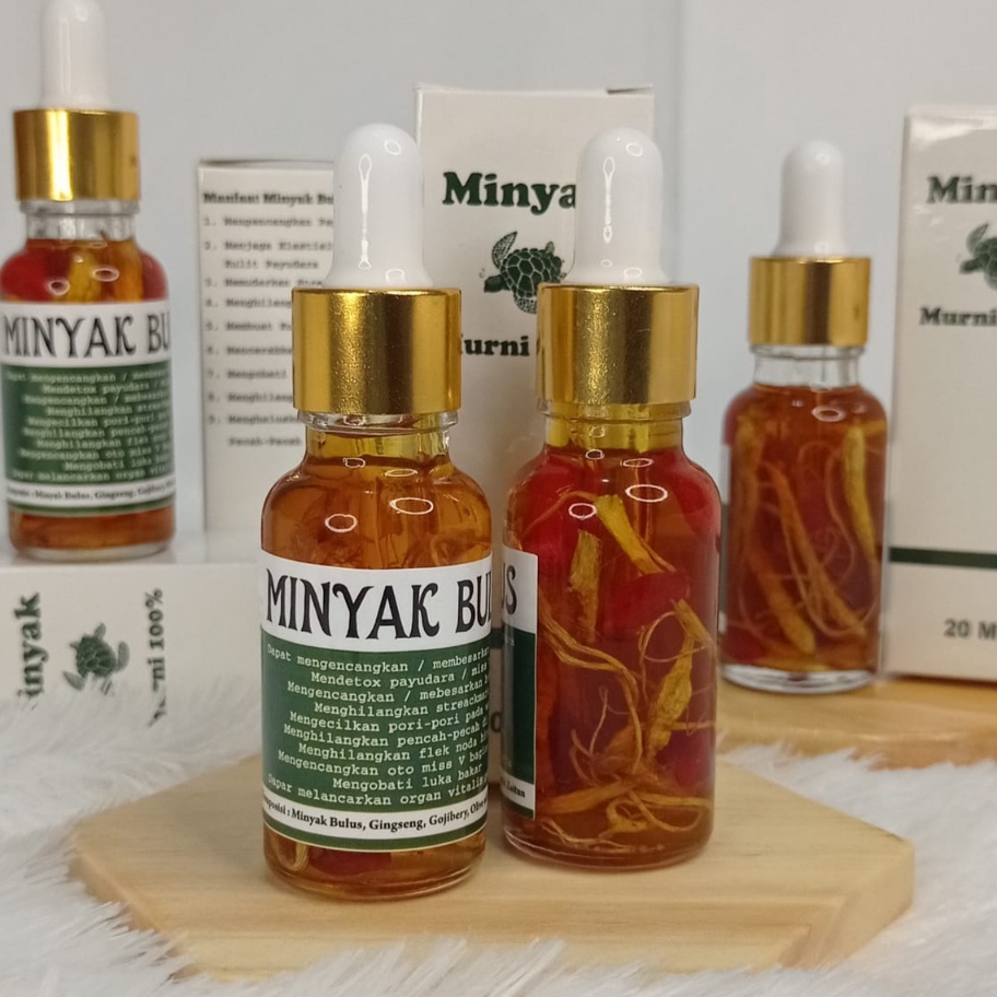 GROSIR BREAST MINDYAK BULUES PEMBESAR PAYUDARA PENGENCANG PAYUDRA AMPUH PERMANEN SERUM MINYAK BULUS 