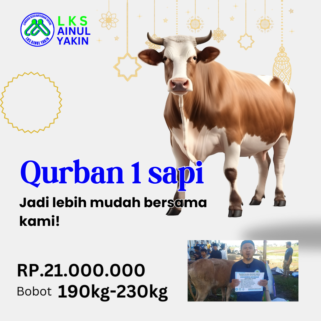 QURBAN SAPI BERKAH SYAR'I TERPERCAYA #LKS ainul yakin