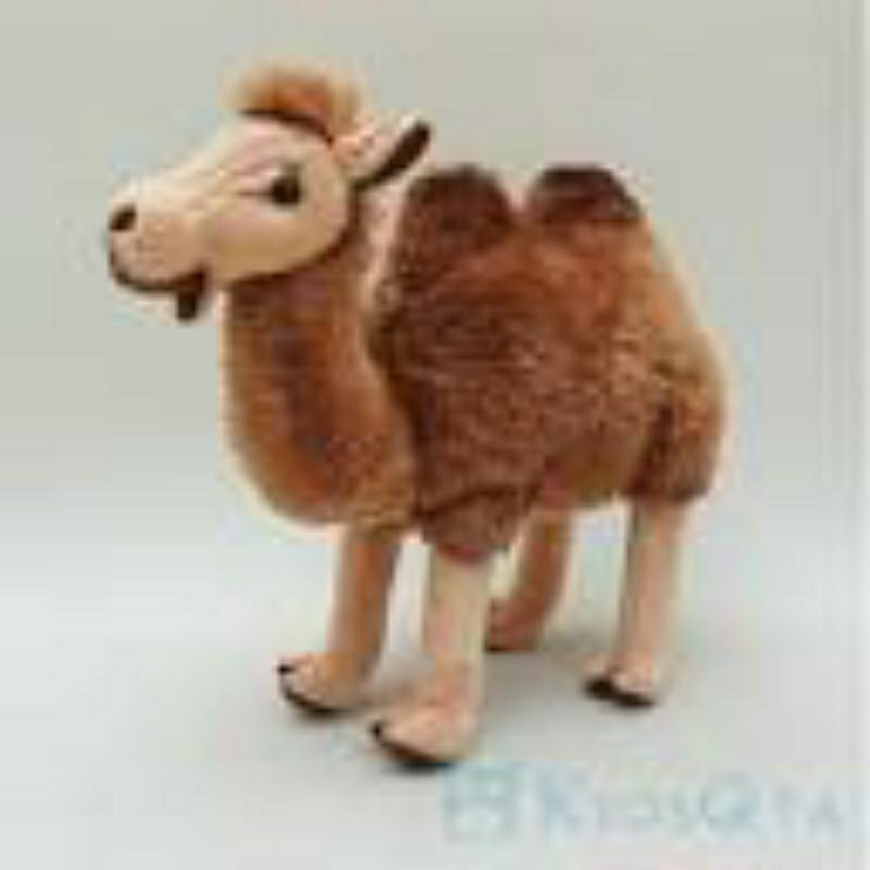 boneka onta impor dari arab