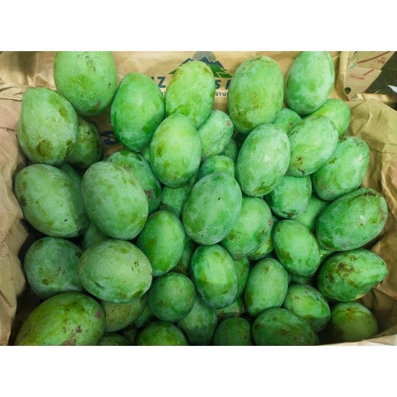 

Mangga Manalagi 1kg