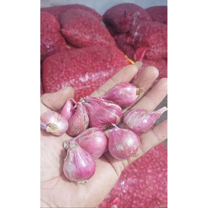 

bawang merah