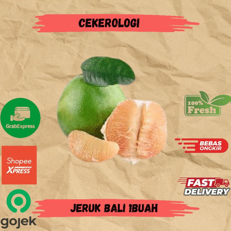 

Jeruk Bali 1buah / Jeruk Bali / Jeruk Bali Fresh Berkualitas / JABODETABEK / Buah Jeruk / Buah Buahan / Buah