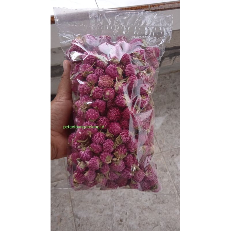

Globe Amaranth Tea / Teh Bunga Kenop 100 gram