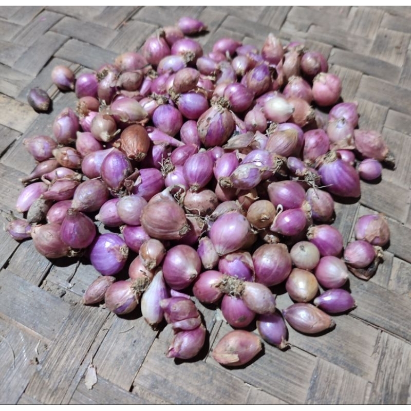 

Bawang Merah kecil 1Kg