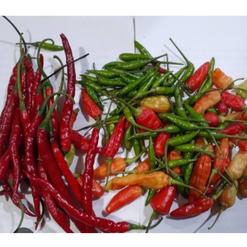

cabe campur