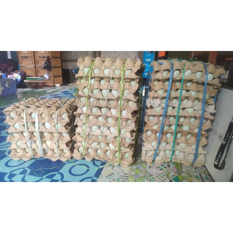 

TELUR TAMBAK ITIK / BEBEK ALUH-ALUH ASLI (KHUSUS INSTAN)