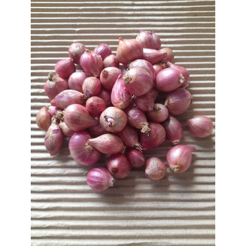 

Bawang Merah/ brambang tanggung berat bersih 100 gram