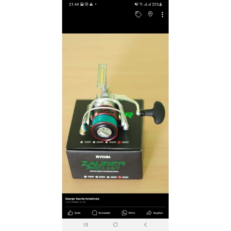 Ryobi Zauber Pro Hp 4000