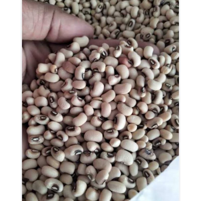 

Kacang Putih 100gr