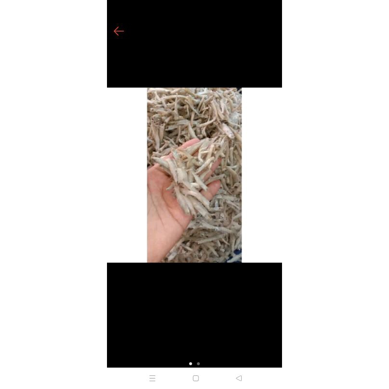 

Teri senangin 500gram