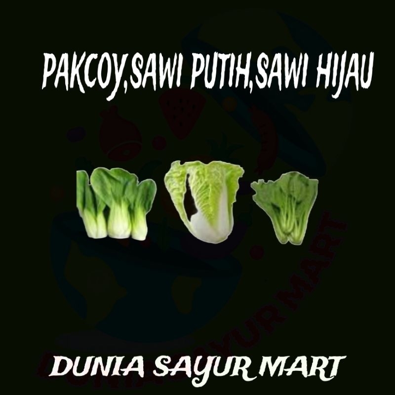 

pakcoy,sawi putih, sawi hijau