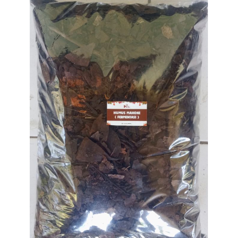 humus/andam mahoni(fermentasi)5liter