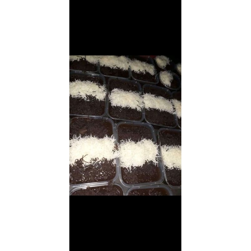 

brownies laris manis jajanan pelengkap hari harimu ORDER NOW