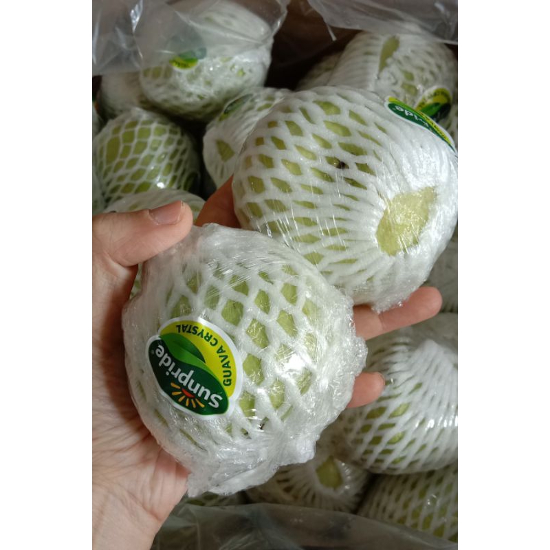 

jambu kristal Sunpride