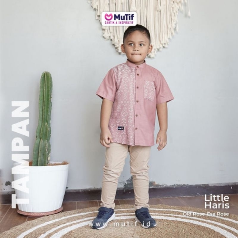 Koko Haris mutif // Koko mutif elegant // Koko mutif pendek // Koko anak mutif // Koko dewasa mutif