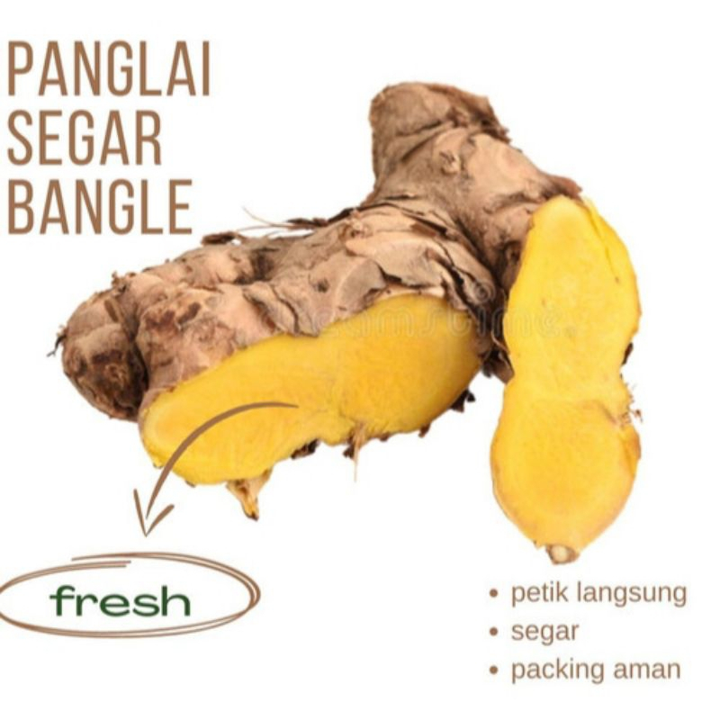 

PROMO 100GR Bangle I Panglai I Umbi bangle Basah Segar Fresh Bersih Bisa Untuk Ibu Hamil
