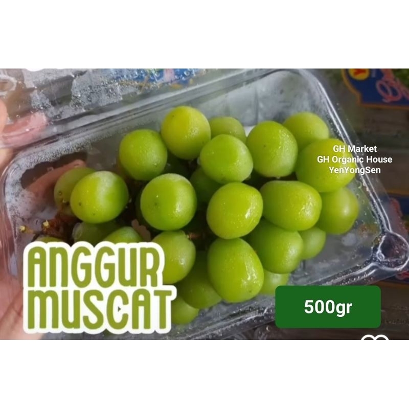 

Anggur Hijau Shine Muscat Import 500gr Green Grapes Buah Enak Manis