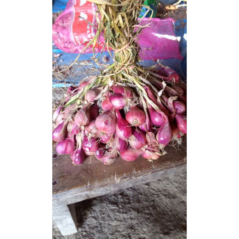 

bawang merah