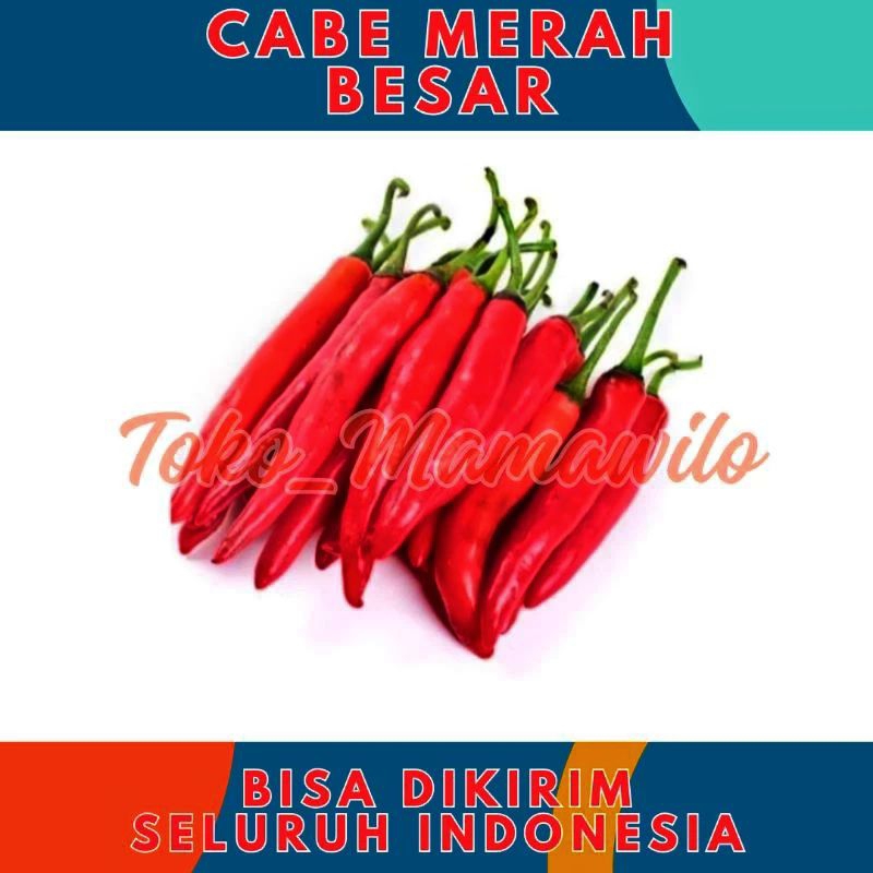 

Cabe Merah Besar Lombok Fresh Segar Cabai Murah Kiloan 100gr 100 gr gram