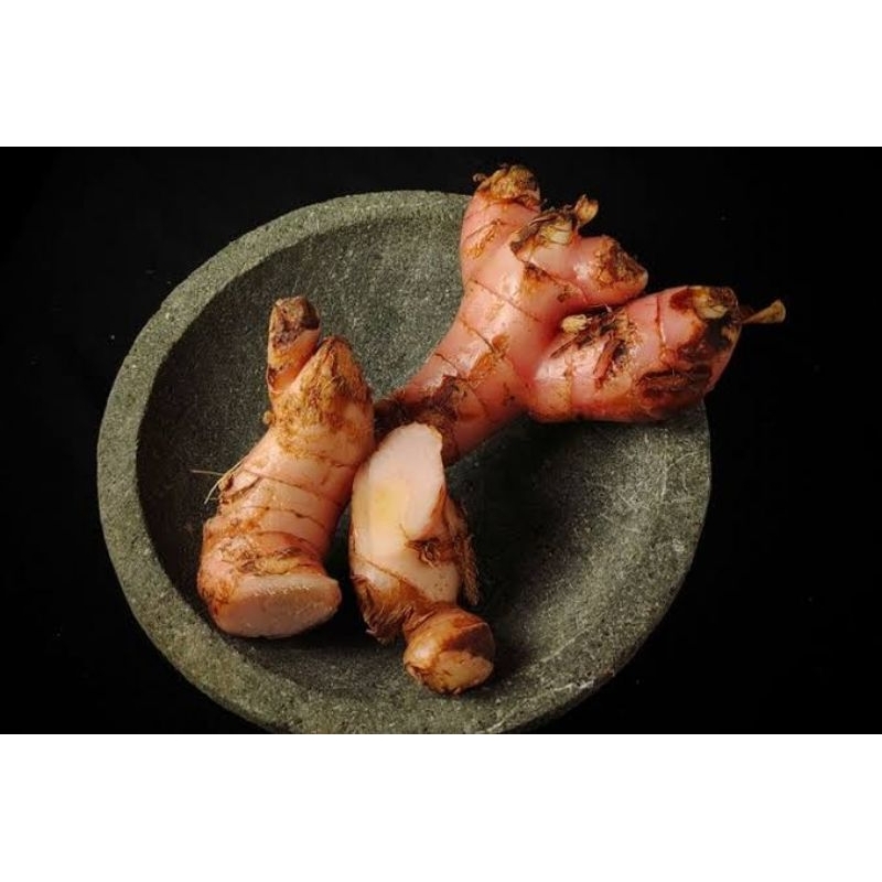 

Lengkuas / Laos 250gr