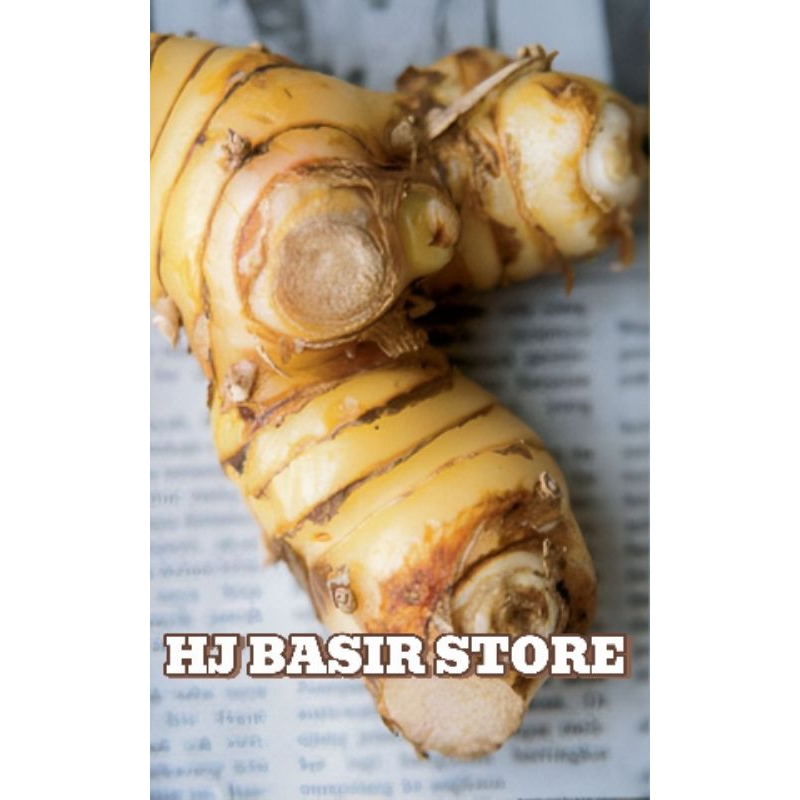 

LENGKUAS LAOS 500grm