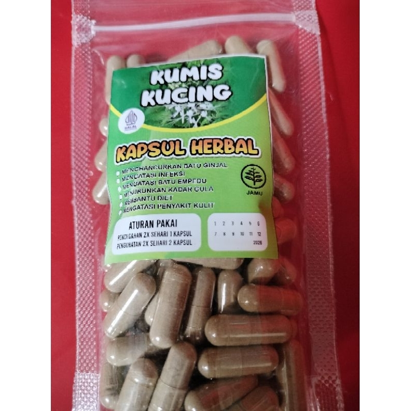 KAPSUL HERBAL KUMIS KUCING