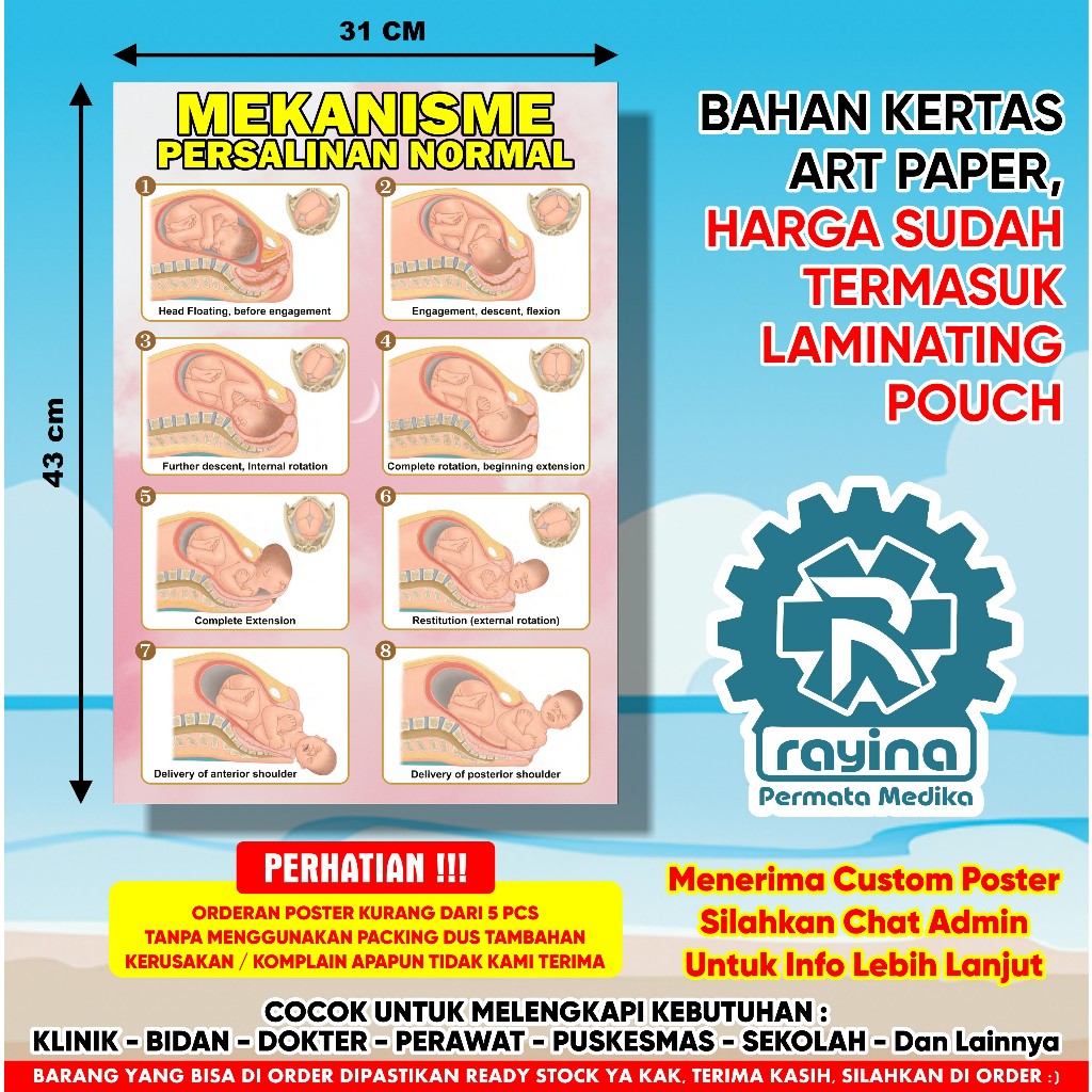Poster Mekanisme Persalinan Normal
