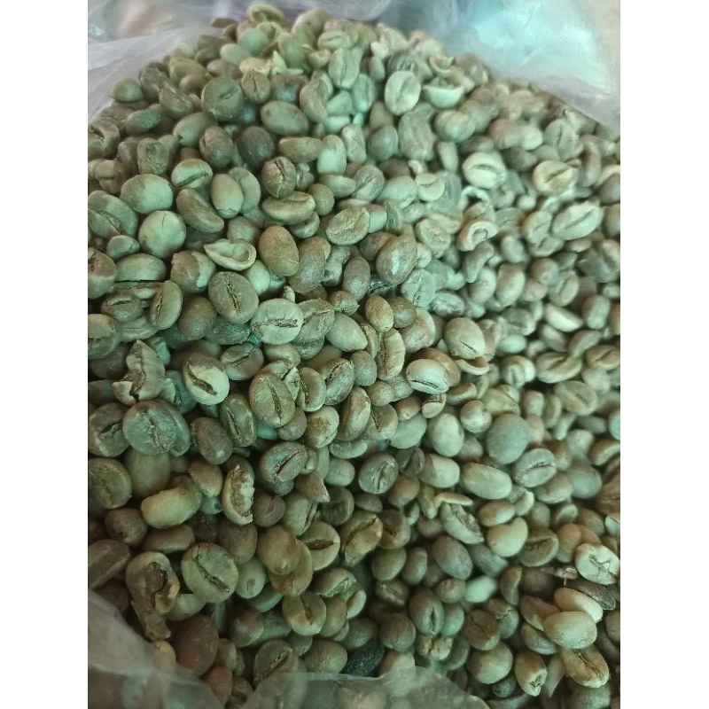 

biji kopi robusta murni