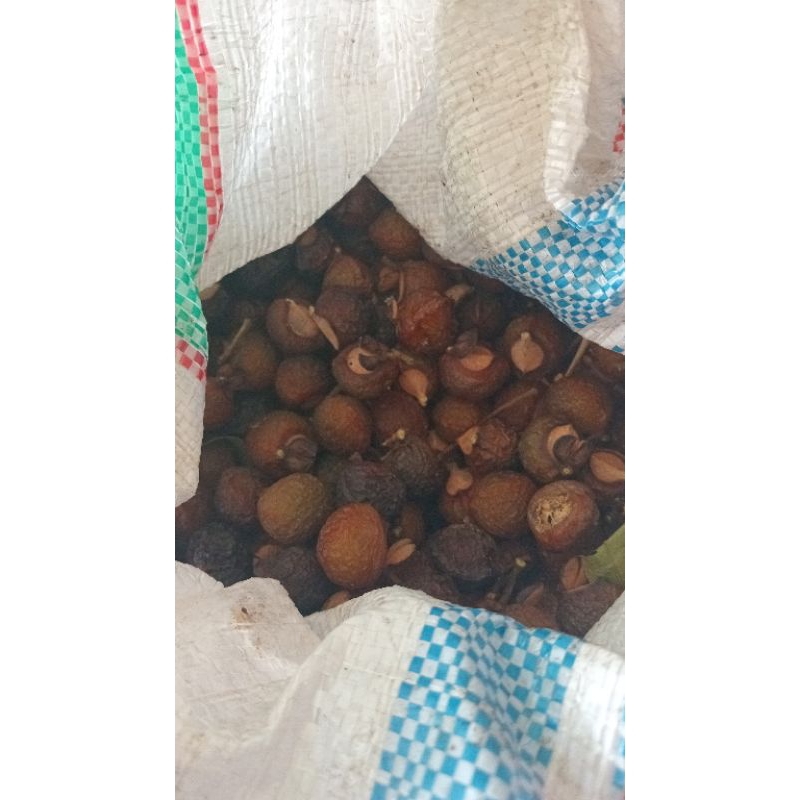 

Buah Lerak Utuh 1kg