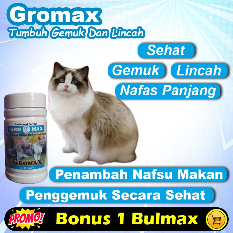 [GM10] OBAT PENGGEMUK KUCING PENAMBAH NAFSU MAKAN KUCING PENGGEMUK KUCING OBAT GEMUK KUCING - GROMAX