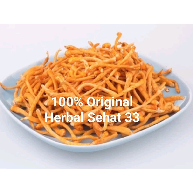 

jamur bunga cordyceps flower - chong cao Hua 50g