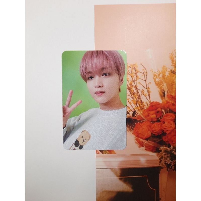 Photocard Official Haechan NCT 127x Teddy slowacid