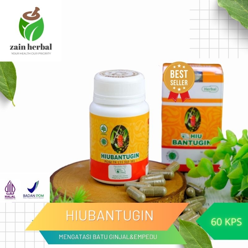 Herbal Batu Ginjal Gangguan Fungsi Ginjal Radang Ginjal Alami HIU